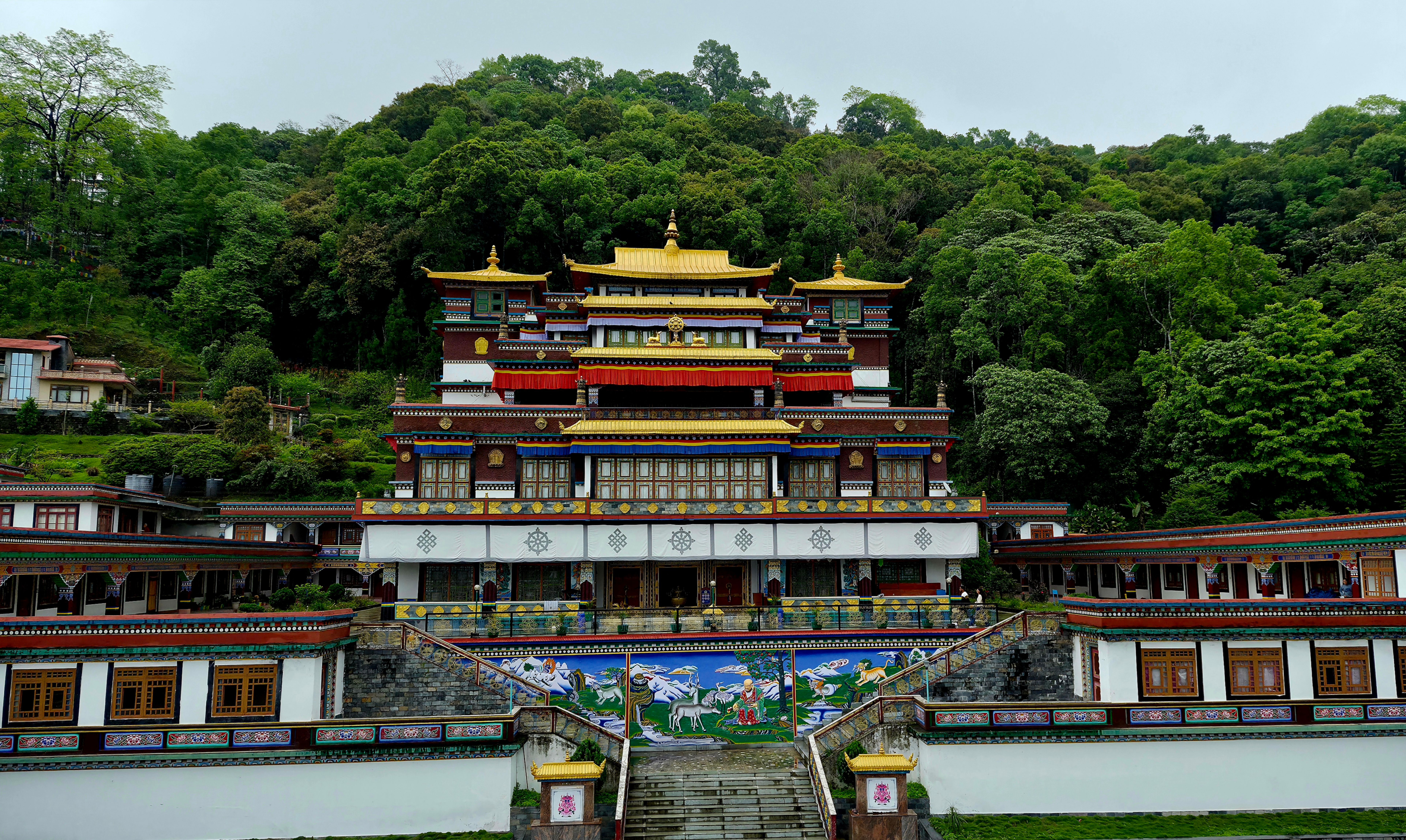 North East Discovery Tour